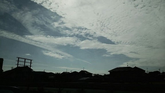 c0292342_16452579.jpg