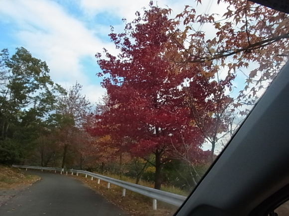 f0044743_09522989.jpg