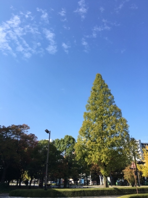 f0191444_12430897.jpg