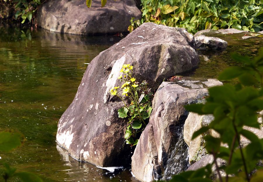 d0322448_15052410.jpg