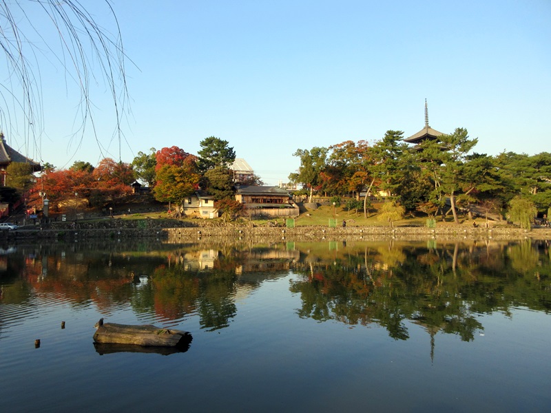 【奈良2017】猿沢の池から興福寺へ_b0009849_10171324.jpg