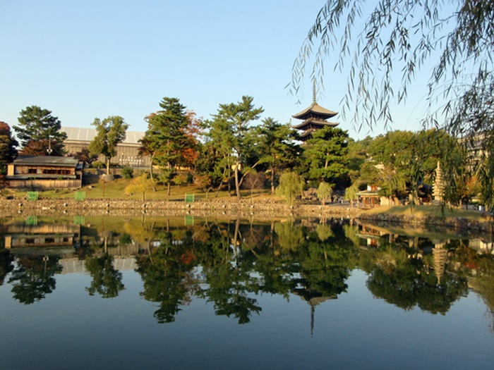 【奈良2017】猿沢の池から興福寺へ_b0009849_10195571.jpg