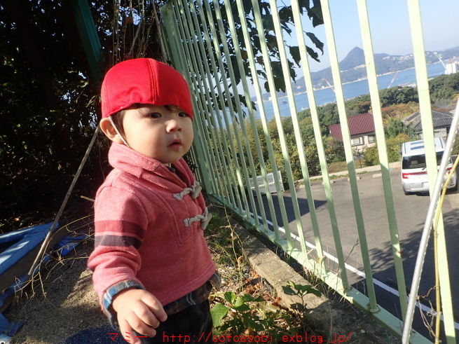 d0105749_20493226.jpg