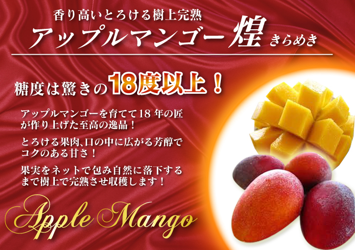 樹上完熟アップルマンゴー ハウスにビニールを張り匠の温度管理が始まりました_a0254656_16522093.jpg