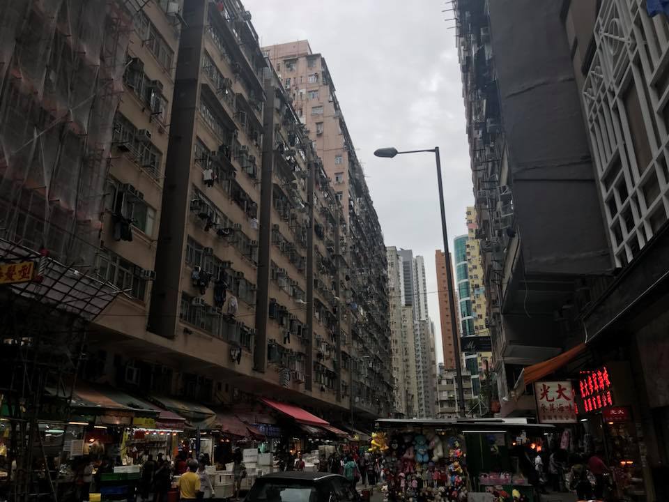 b0002156_131731100.jpg