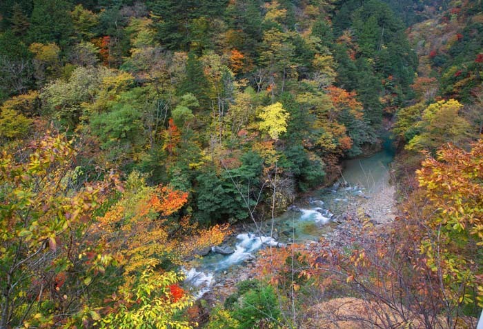 b0355457_05394740.jpg