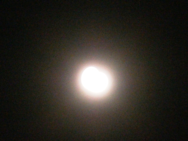 a0174458_23524009.jpg