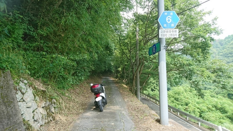 c0133458_22542768.jpg