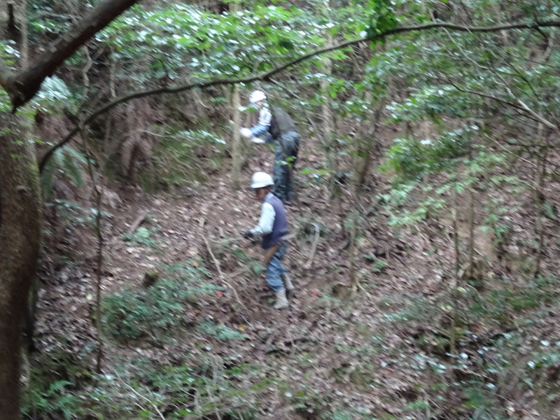 c0108460_01042714.jpg