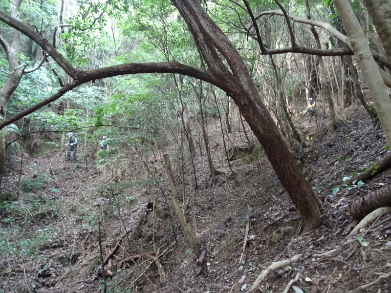 c0108460_01045187.jpg