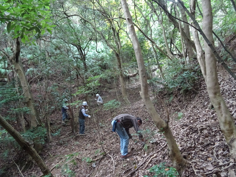 c0108460_01050597.jpg