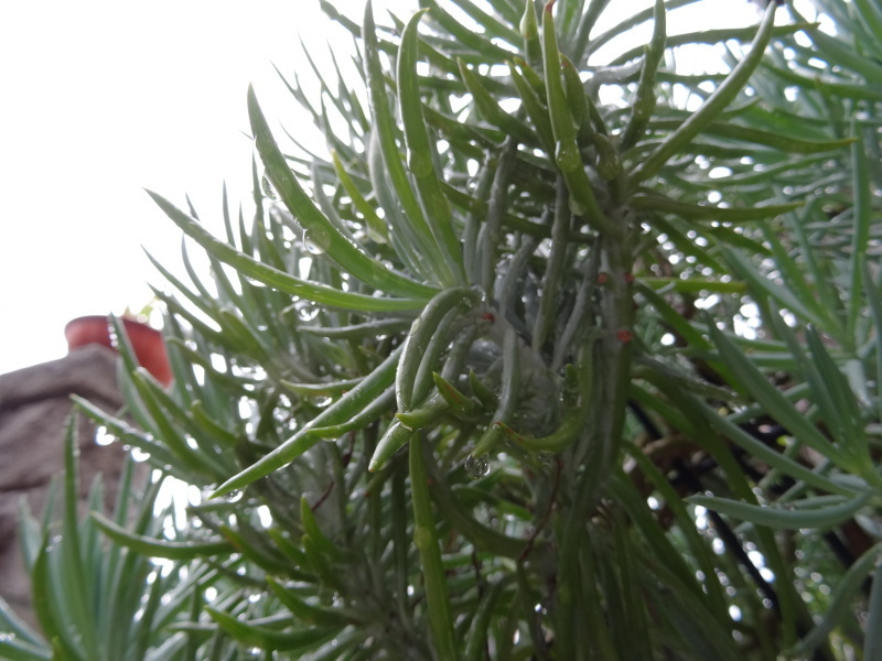 c0108460_16353643.jpg