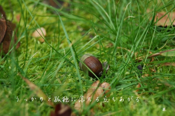 f0379160_13212097.jpg