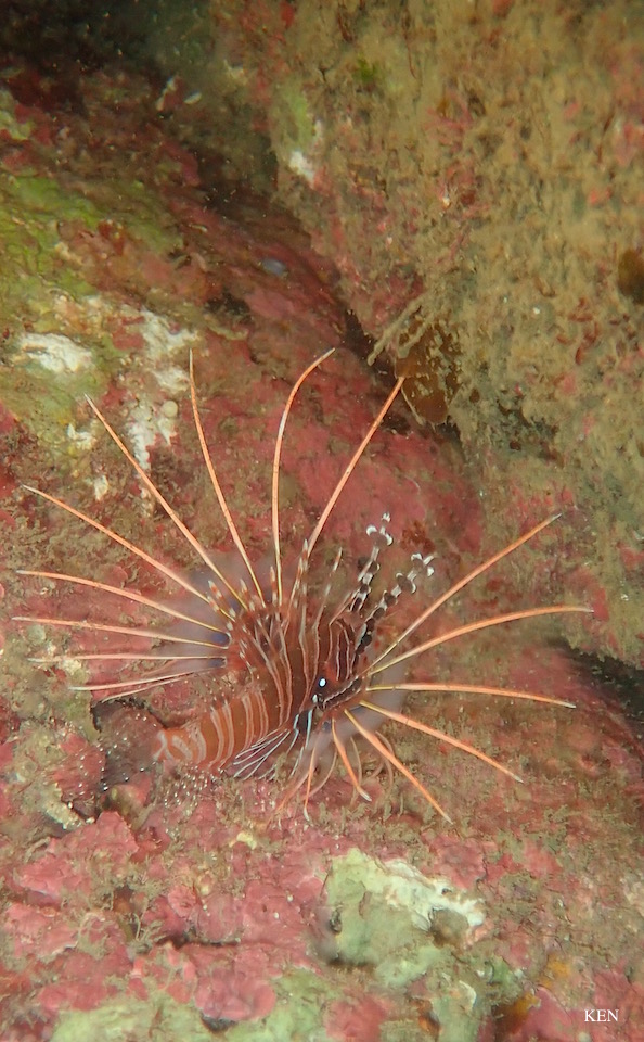 e0158261_15542631.jpg