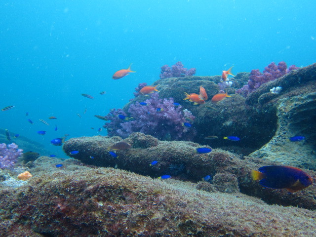 f0164662_14460709.jpg