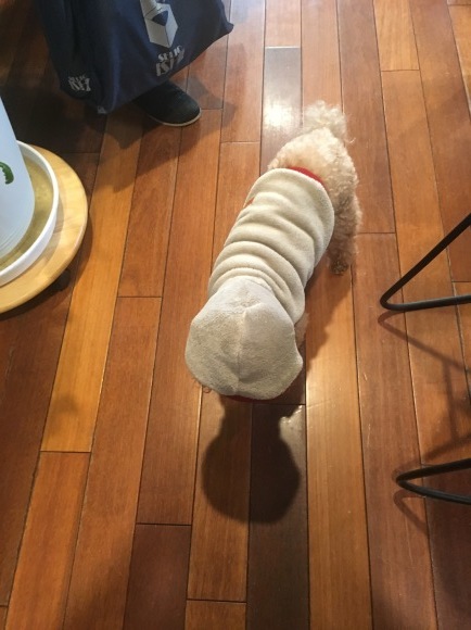 c0120363_07500394.jpeg