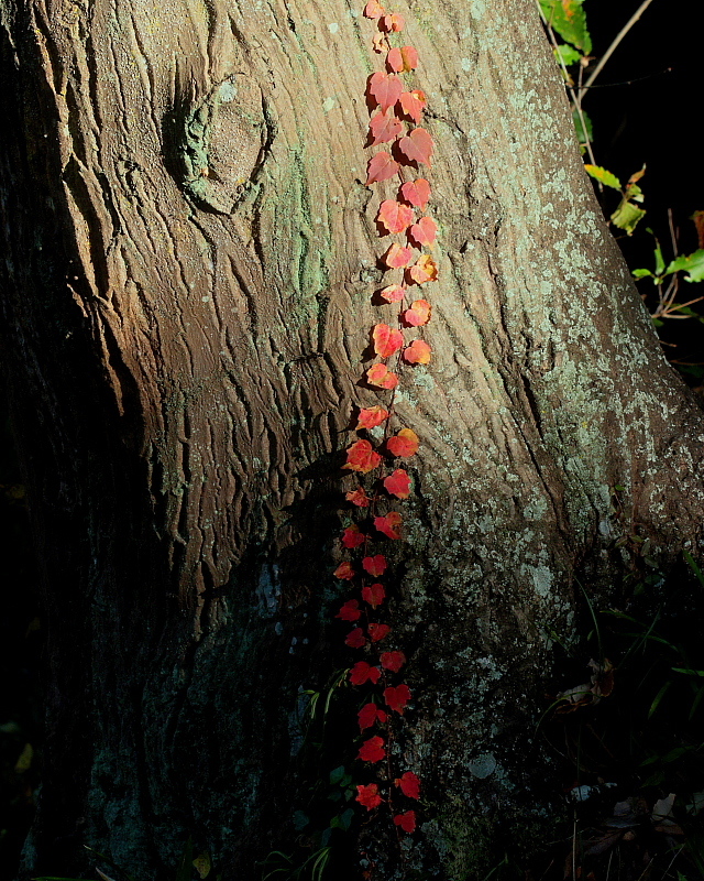 c0305565_17355911.jpg