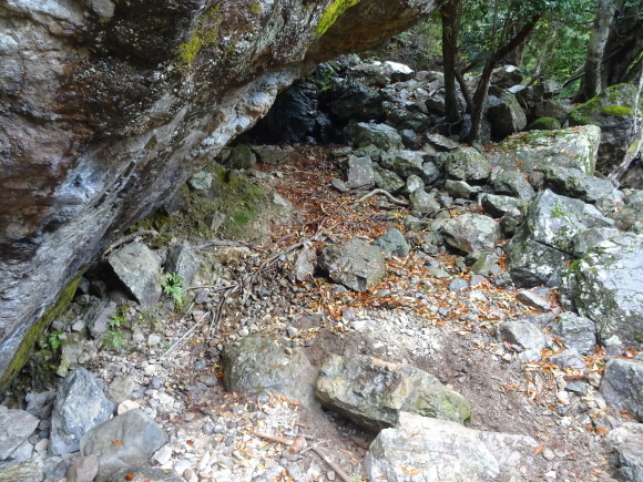 c0245666_20042705.jpg