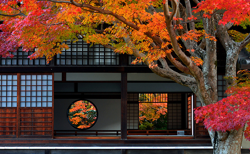 源光庵 紅葉 ちょっとそこまで 日本庭園の設計 和モダン 庭 現代庭園