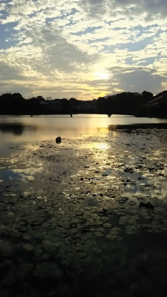 c0001670_20273688.jpg