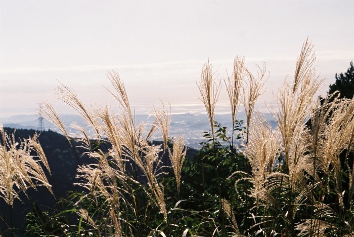 e0307372_22024032.jpg