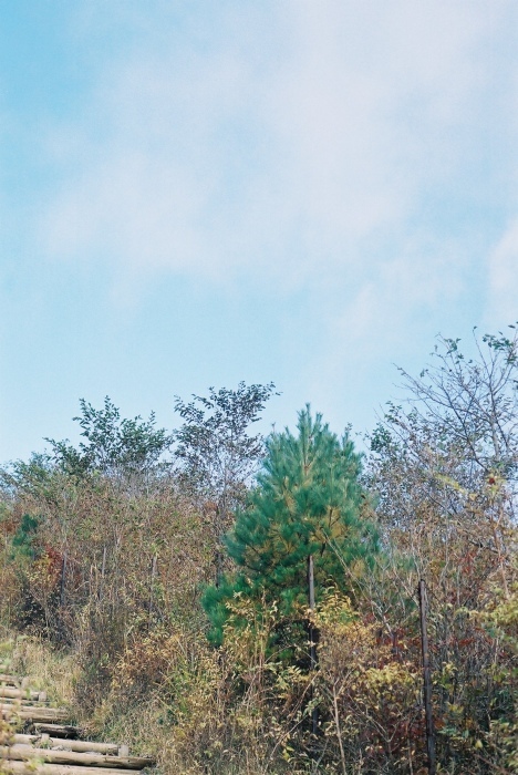 e0307372_22062915.jpg