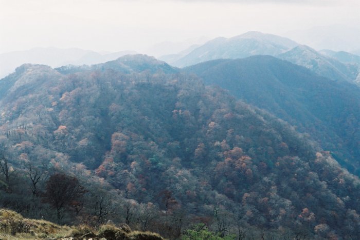 e0307372_22354479.jpg