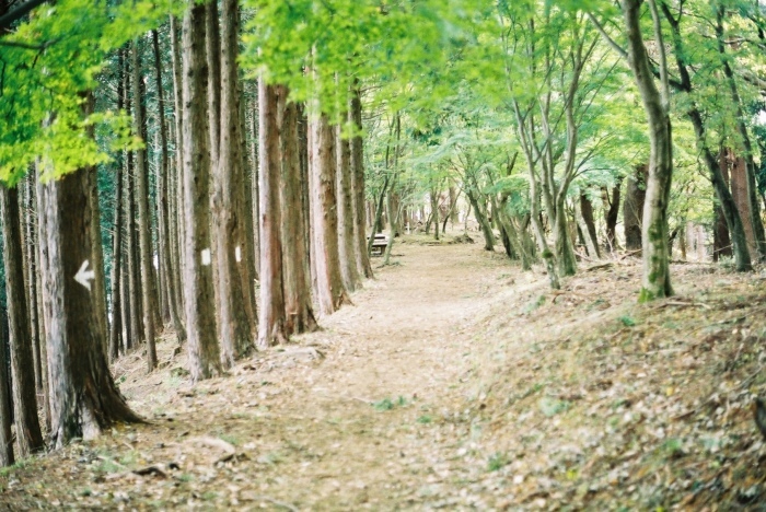 e0307372_22385719.jpg