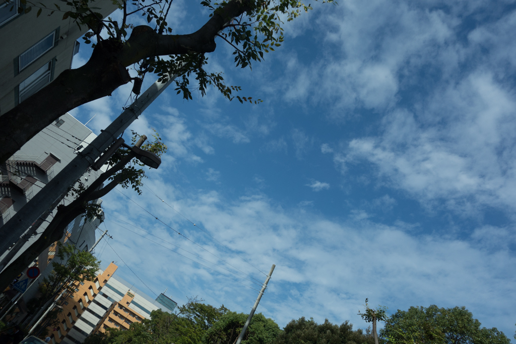 b0247073_22043392.jpg