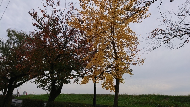 e0067674_20403213.jpg
