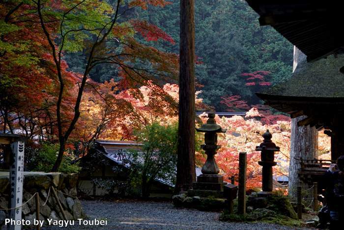 日本　谷汲横蔵寺の紅葉_b0132475_21210337.jpg