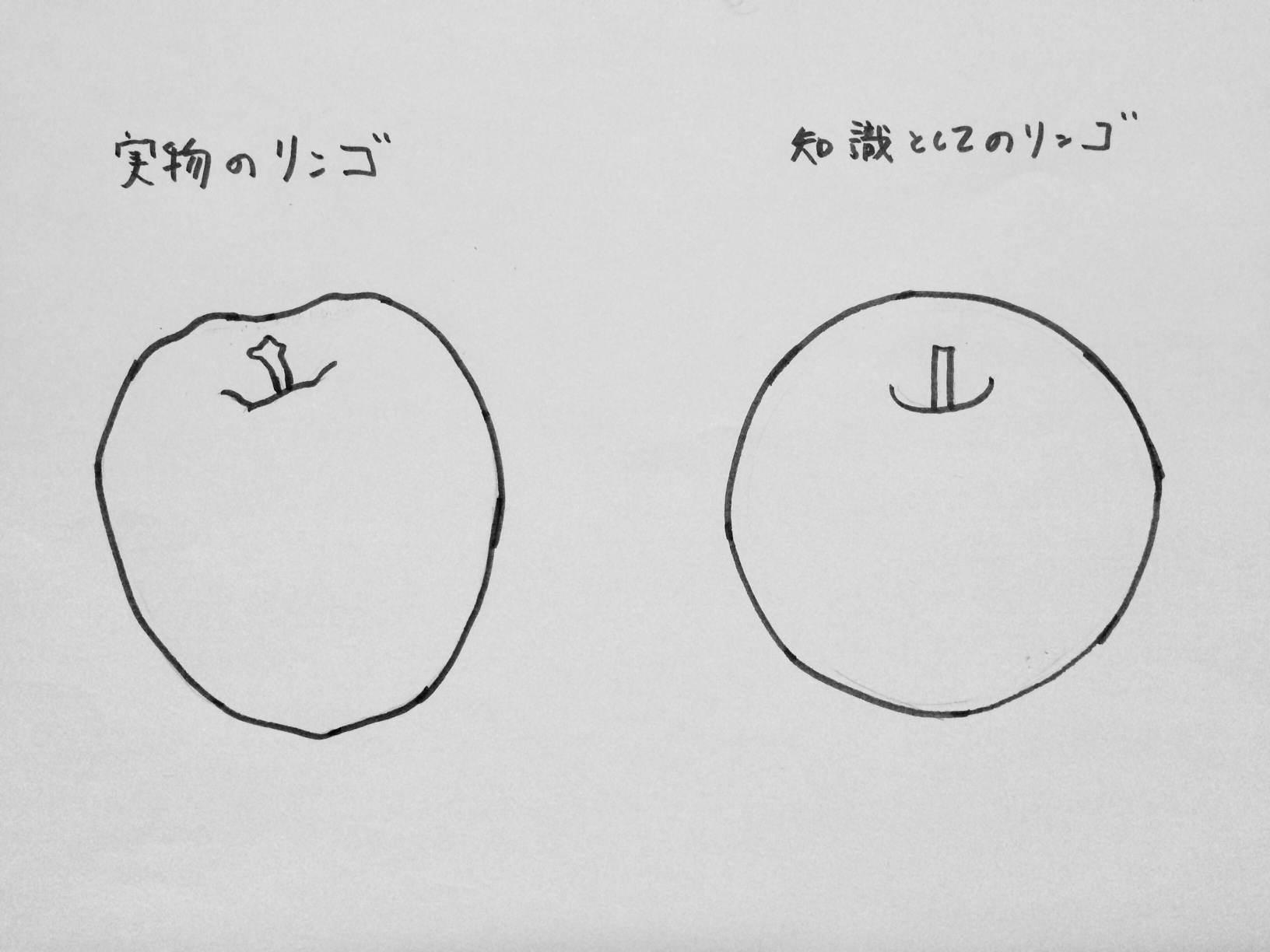 デッサンについてのコラム その5 大橋デッサン研究所 デッサンについてのコラム その5 大橋デッサン研究所