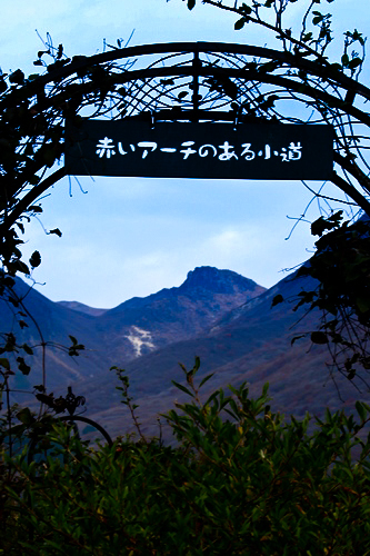 d0126577_13090299.jpg