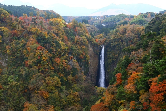 d0126577_13203440.jpg