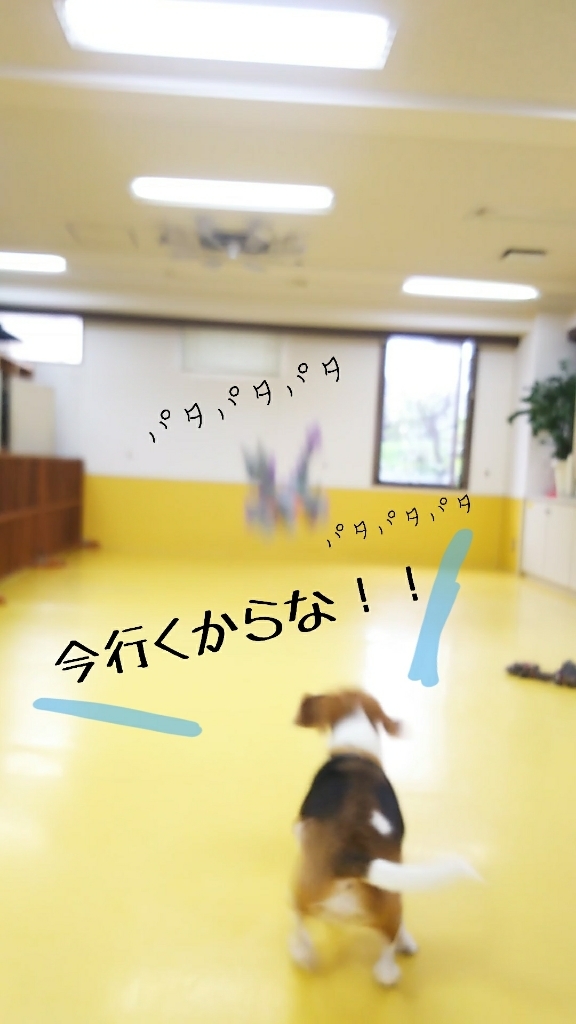🐉僕のお気に入り🐲_f0357682_13115136.jpg