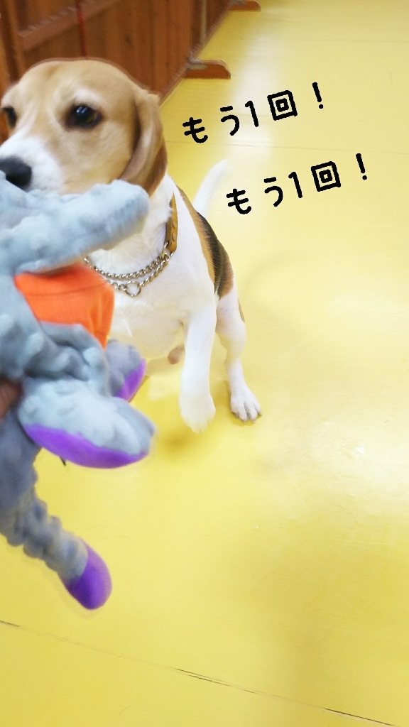 🐉僕のお気に入り🐲_f0357682_13564290.jpg
