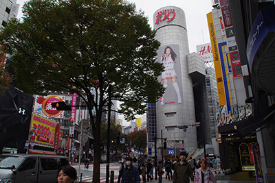 b0056983_11364638.jpg