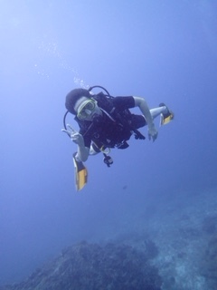f0144385_19322484.jpg