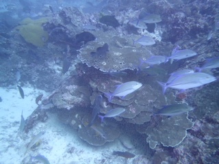 f0144385_19322488.jpg