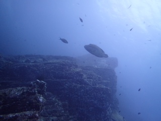 f0144385_19322581.jpg
