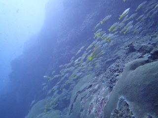 f0144385_19322596.jpg