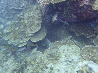 f0144385_19333231.jpg