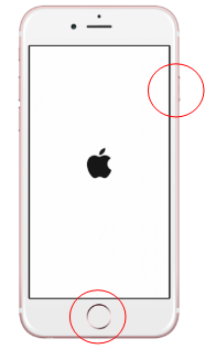e0253886_13433536.png