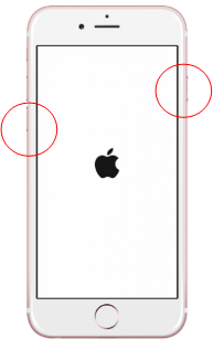 e0253886_13434768.png