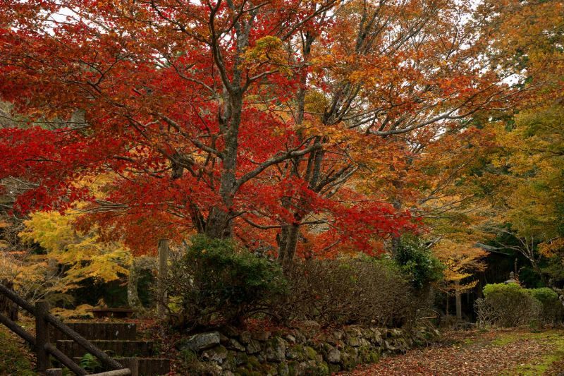 とある山寺_b0061787_21354729.jpg