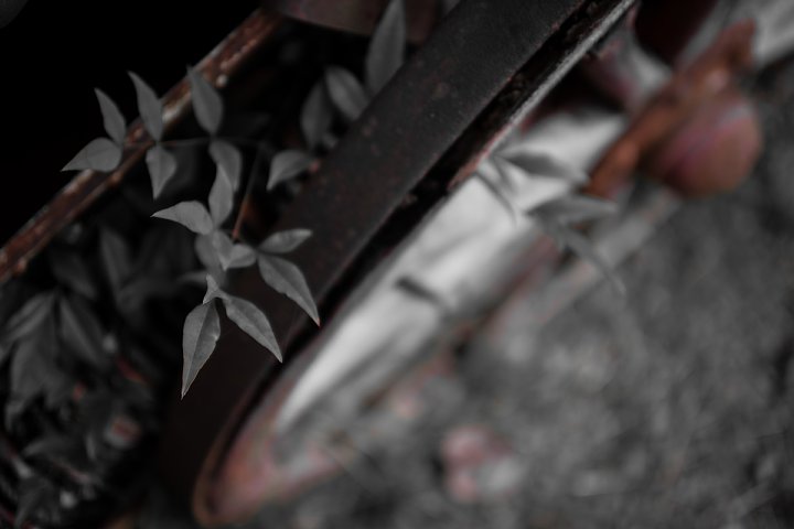 d0353489_810681.jpg