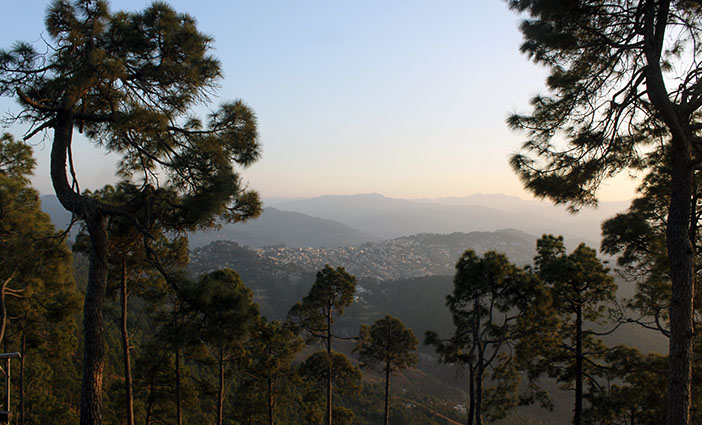 c0010791_150398.jpg