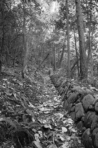 b0119493_19452592.jpg