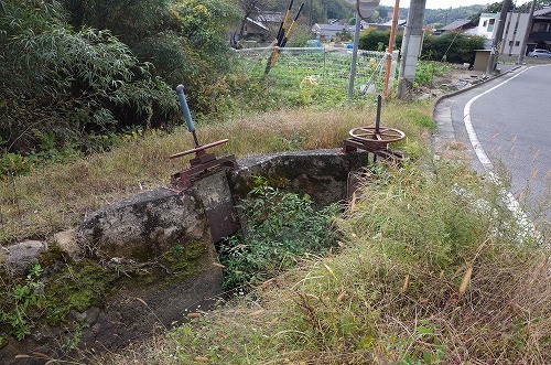 b0119493_19452659.jpg