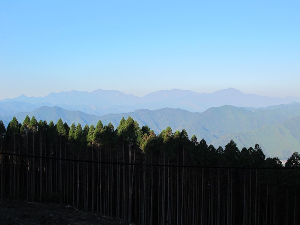 a0166196_1652865.jpg
